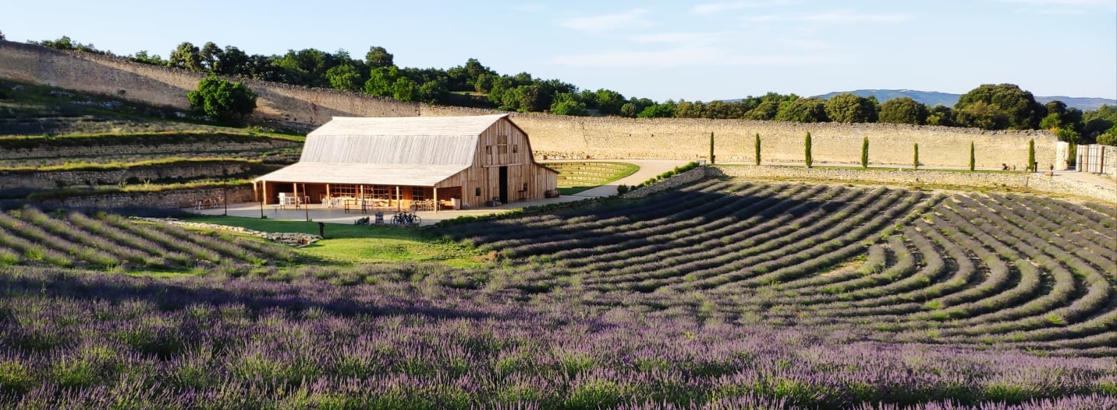 105917548_707824936707956_7105234394962655079_o Granero de San Francisco