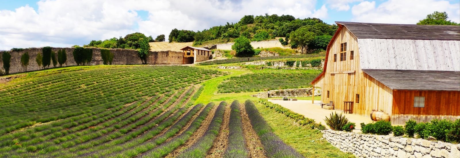 Granero de San Francisco